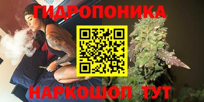 дживик Гусиноозёрск